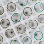 Delhi begins Covid-19 Omicron Genome Sequencing of all covid positve cases