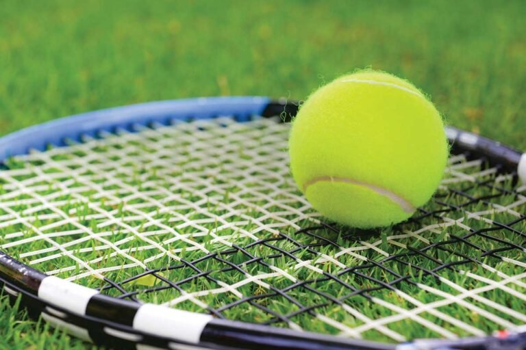 Adelaide Tennis Rohan Bopanna Ramkumar Ramanathan Sania Mirza