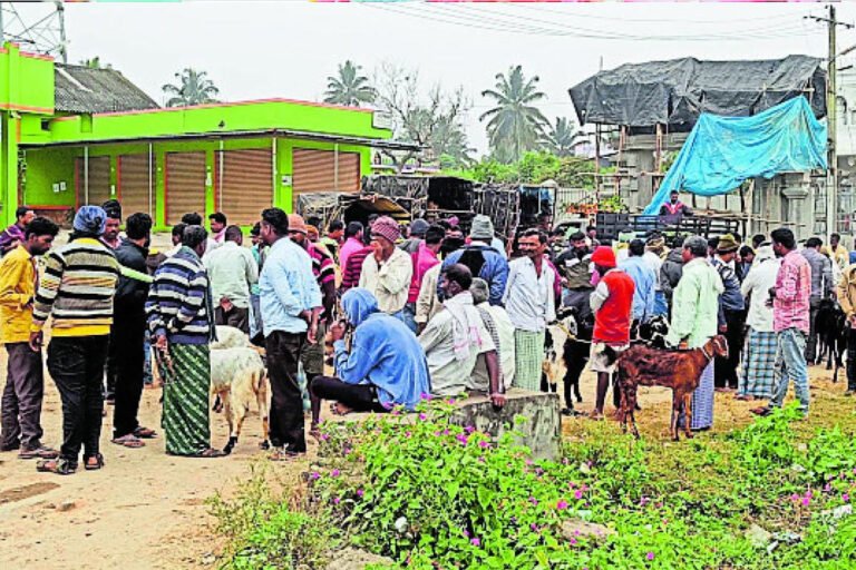 Mysore Bettadapura Mysuru Weekend Curfew