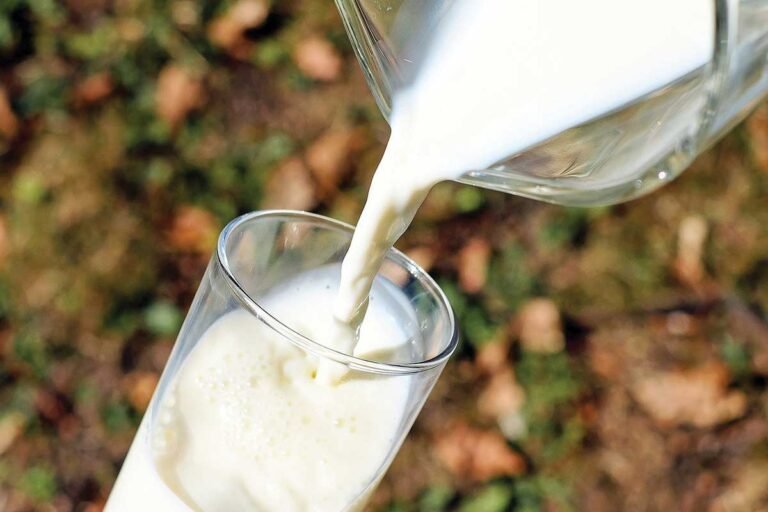 KMF Nandini Milk Price Hike CM Decision
