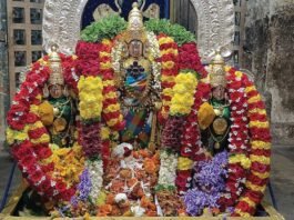 Mandya Melukote Sri Cheluvanarayana Swamy Temple Makara Sankranti Pooja Utsava
