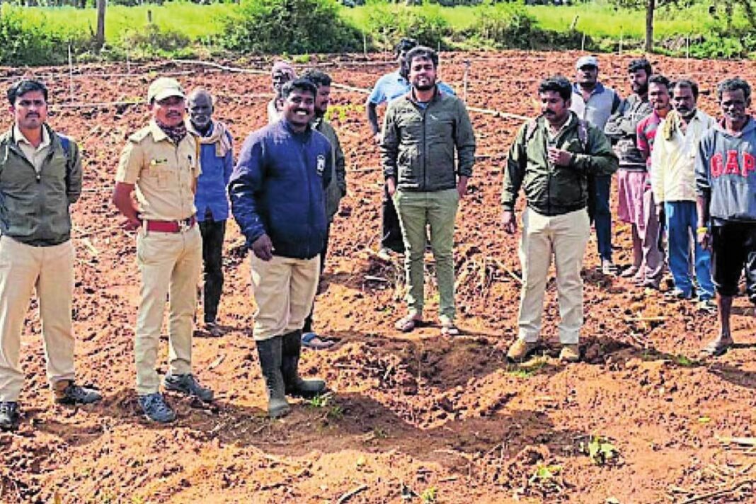 Mysore Mysuru Tiger Footprint