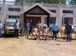 Mysore Mysuru Nanjangud Cow Theft Case Police