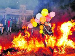 Chikkabllapur District Makara Sankranti Celebration