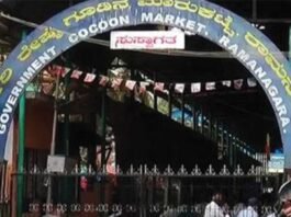 Ramanagara Silk Cocoon Market Highest Price Bid