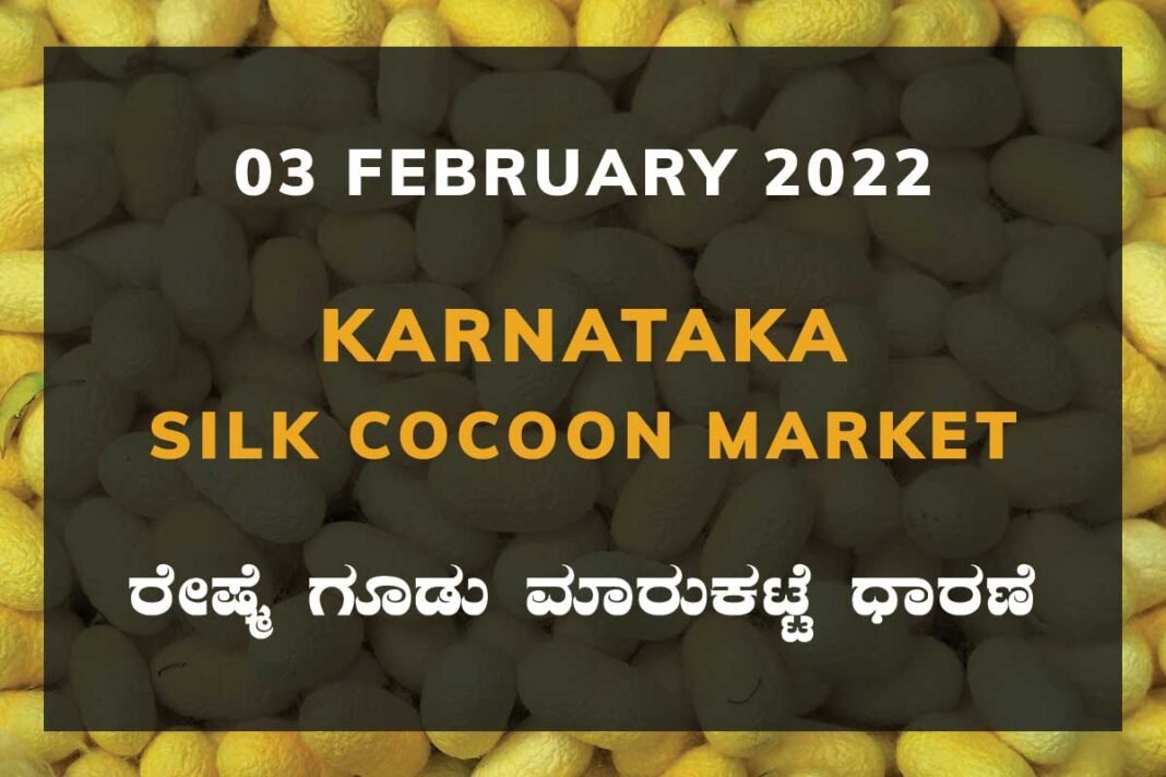 Karnataka Sericulture Ramanagara Sidlaghatta Kollegal Vijayapura Kanakapura Kolar Chintamani Government Silk Cocoon Market Exchange Prices Raw Silk Rate