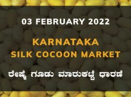 Karnataka Sericulture Ramanagara Sidlaghatta Kollegal Vijayapura Kanakapura Kolar Chintamani Government Silk Cocoon Market Exchange Prices Raw Silk Rate