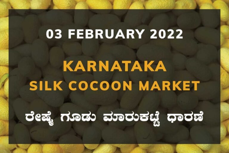 Karnataka Sericulture Ramanagara Sidlaghatta Kollegal Vijayapura Kanakapura Kolar Chintamani Government Silk Cocoon Market Exchange Prices Raw Silk Rate