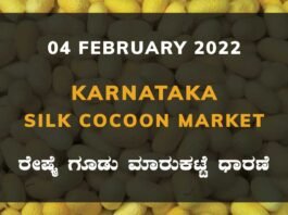 Karnataka Sericulture Ramanagara Sidlaghatta Kollegal Vijayapura Kanakapura Kolar Chintamani Government Silk Cocoon Market Exchange Prices Raw Silk Rate