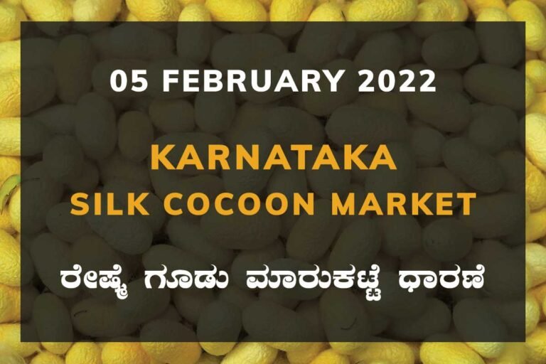 Karnataka Sericulture Ramanagara Sidlaghatta Kollegal Vijayapura Kanakapura Kolar Chintamani Government Silk Cocoon Market Exchange Prices Raw Silk Rate