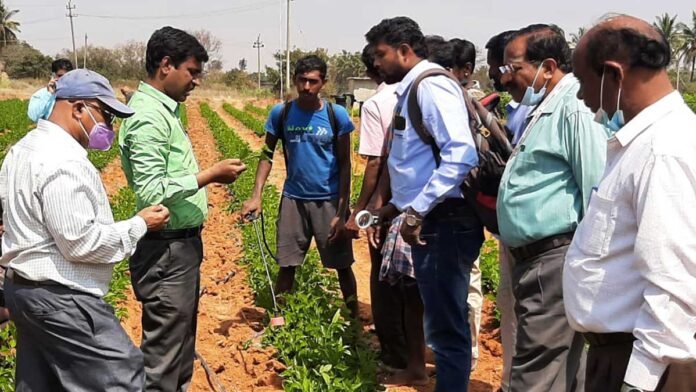 Sidlaghatta Silk Mulberry Farming Pest Control Measures Central Silk Board Scientist