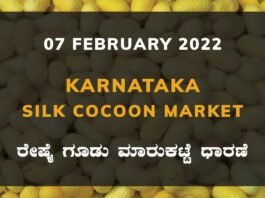 Karnataka Sericulture Ramanagara Sidlaghatta Kollegal Vijayapura Kanakapura Kolar Chintamani Government Silk Cocoon Market Exchange Prices Raw Silk Rate
