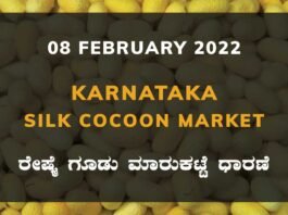Karnataka Sericulture Ramanagara Sidlaghatta Kollegal Vijayapura Kanakapura Kolar Chintamani Government Silk Cocoon Market Exchange Prices Raw Silk Rate