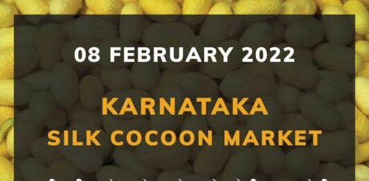 Karnataka Sericulture Ramanagara Sidlaghatta Kollegal Vijayapura Kanakapura Kolar Chintamani Government Silk Cocoon Market Exchange Prices Raw Silk Rate