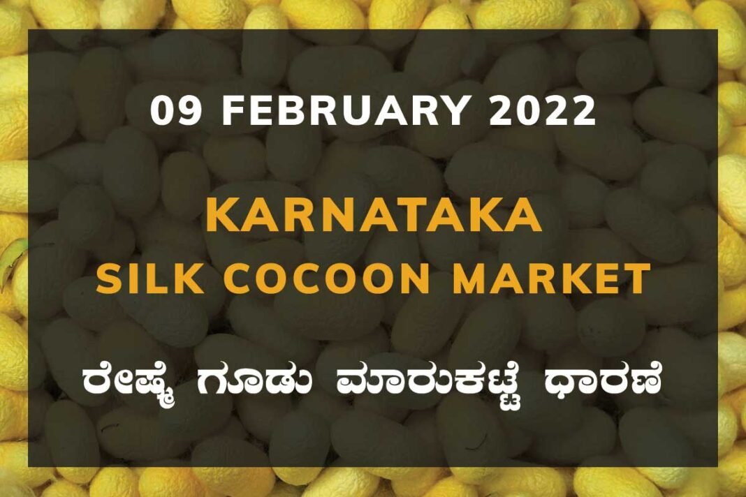 Karnataka Sericulture Ramanagara Sidlaghatta Kollegal Vijayapura Kanakapura Kolar Chintamani Government Silk Cocoon Market Exchange Prices Raw Silk Rate