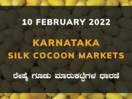 Karnataka Sericulture Ramanagara Sidlaghatta Kollegal Vijayapura Kanakapura Kolar Chintamani Government Silk Cocoon Market Exchange Prices Raw Silk Rate
