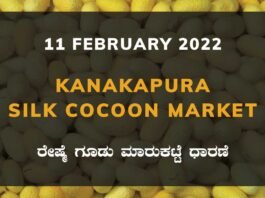Kanakapura Silk Cocoon Market Price Rate