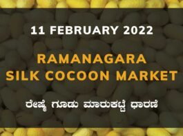 Ramanagara Silk Cocoon Market Price Rate