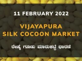 Vijayapura Silk Cocoon Market