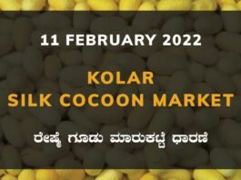 Kolar Silk Cocoon Market