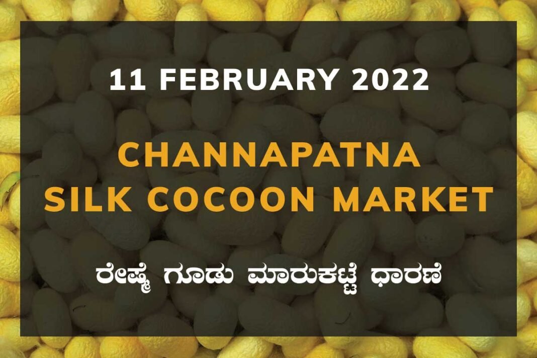 Channapatna Silk Cocoon Market