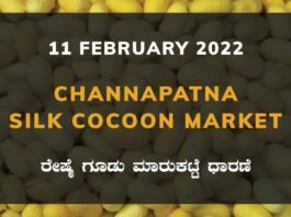 Channapatna Silk Cocoon Market