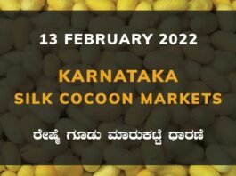 Karnataka Sericulture Ramanagara Sidlaghatta Kollegal Vijayapura Kanakapura Kolar Chintamani Government Silk Cocoon Market Exchange Prices Raw Silk Rate