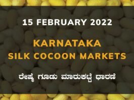 Karnataka Sericulture Ramanagara Sidlaghatta Kollegal Vijayapura Kanakapura Kolar Chintamani Government Silk Cocoon Market Exchange Prices Raw Silk Rate