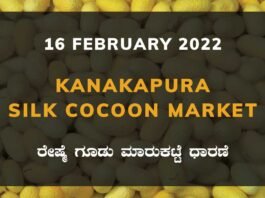 Kanakapura Silk Cocoon Market Price Rate