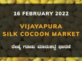 Vijayapura Silk Cocoon Market
