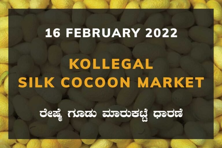 Kollegal Silk Cocoon Market