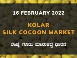 Kolar Silk Cocoon Market