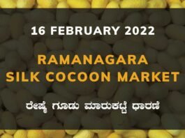 Ramanagara Silk Cocoon Market