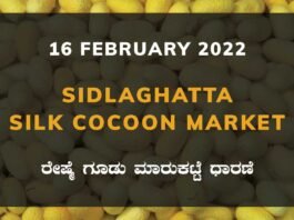 Sidlaghatta Silk Cocoon Market
