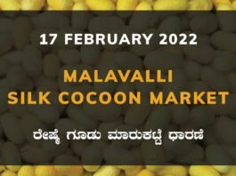 Malavalli Silk Cocoon Market