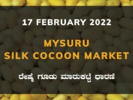 Mysuru Silk Cocoon Market
