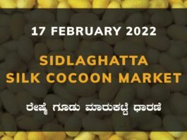 Sidlaghatta Silk Cocoon Market