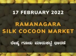 Ramanagara Silk Cocoon Market