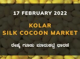 Kolar Silk Cocoon Market