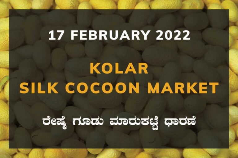 Kolar Silk Cocoon Market
