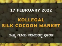 Kollegal Silk Cocoon Market