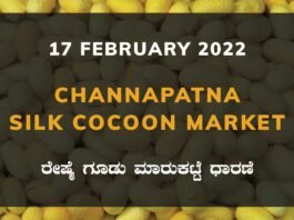 Channapatna Silk Cocoon Market