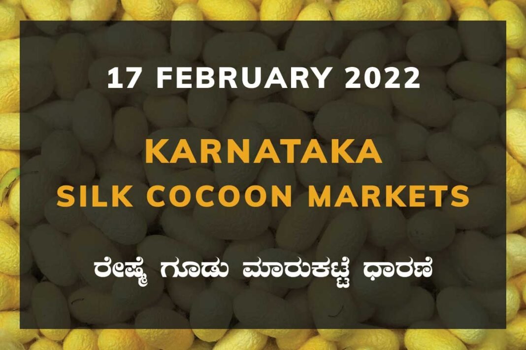 Karnataka Sericulture Ramanagara Sidlaghatta Kollegal Vijayapura Kanakapura Kolar Chintamani Government Silk Cocoon Market Exchange Prices Raw Silk Rate