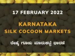 Karnataka Sericulture Ramanagara Sidlaghatta Kollegal Vijayapura Kanakapura Kolar Chintamani Government Silk Cocoon Market Exchange Prices Raw Silk Rate