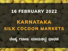 Karnataka Sericulture Ramanagara Sidlaghatta Kollegal Vijayapura Kanakapura Kolar Chintamani Government Silk Cocoon Market Exchange Prices Raw Silk Rate