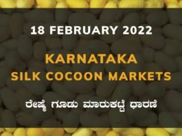 Karnataka Sericulture Ramanagara Sidlaghatta Kollegal Vijayapura Kanakapura Kolar Chintamani Government Silk Cocoon Market Exchange Prices Raw Silk Rate