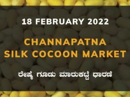 Channapatna Silk Cocoon Market Price Rate