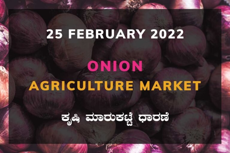 Onion ಈರುಳ್ಳಿ Price: Karnataka Agriculture Market