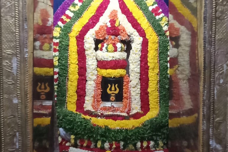 Tumkur Areyuru Vaidyanatheshwara Jathre Mahotsava