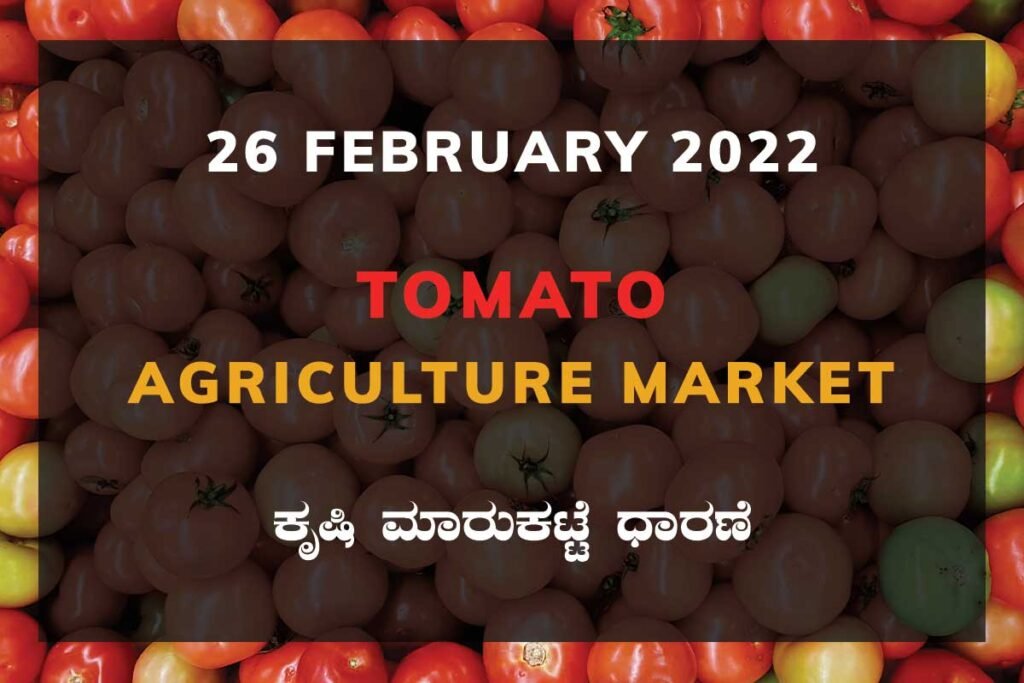 Tomato ಟೊಮ್ಯಾಟೊ ದರ Price: Karnataka Agriculture Market